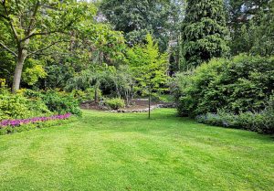 Optimiser l'expérience du jardin à Sainte-Colombe-sur-Gand